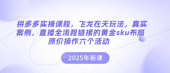 拼多多实操课程,飞龙在天玩法,真实案例,直播全流程链接的黄金sku布局原价操作六个活动-轻创资源网