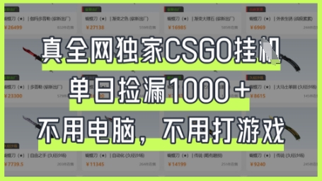 真全网独家CSGO挂G，单日捡漏1k+【揭秘】-轻创资源网