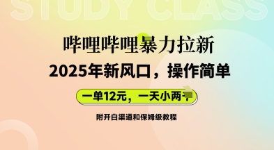 哔哩哔哩暴力拉新:2025年新风口,一单12元,一天数张(附开白渠道和保姆级教程)-轻创资源网