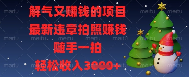 解气又挣钱的项目，最新违章拍照挣钱，随手一拍，轻松收入数张【揭秘】-轻创资源网